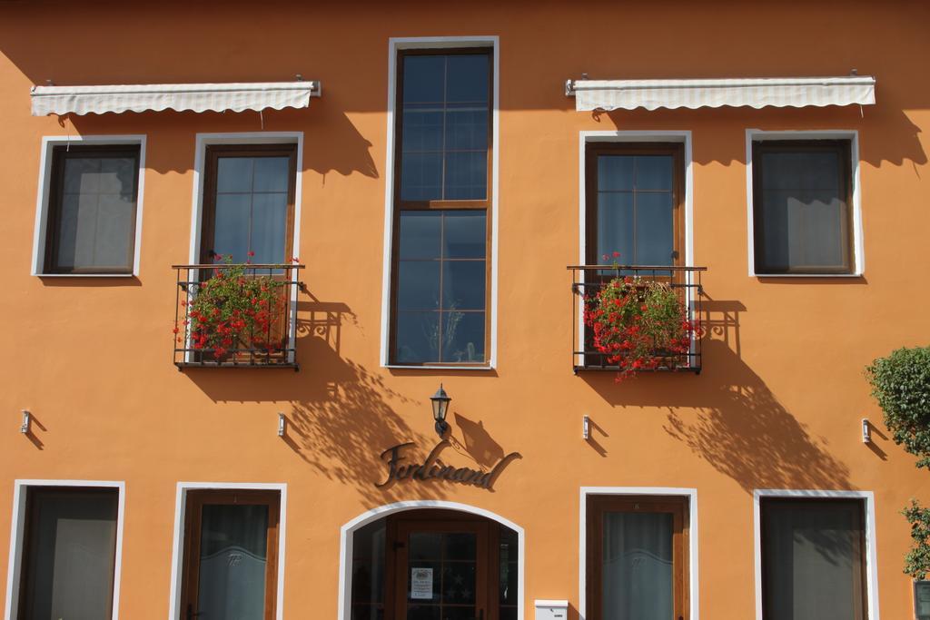 Pension Ferdinand Panzio Sfântu-Gheorghe Exteriör bild