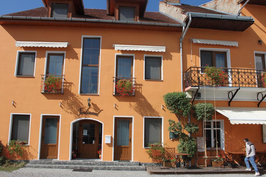 Pension Ferdinand Panzio Sfântu-Gheorghe Exteriör bild