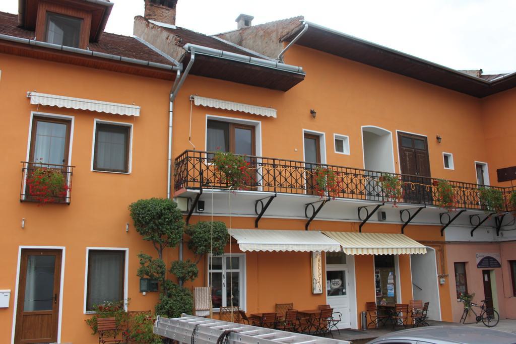 Pension Ferdinand Panzio Sfântu-Gheorghe Exteriör bild