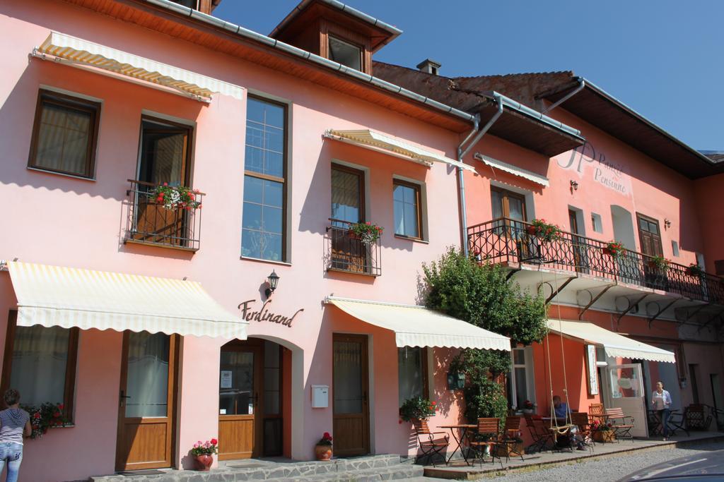 Pension Ferdinand Panzio Sfântu-Gheorghe Exteriör bild