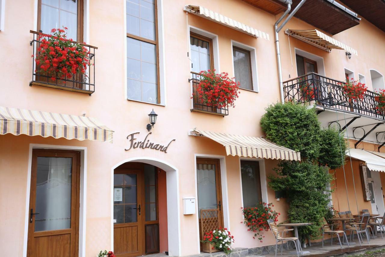 Pension Ferdinand Panzio Sfântu-Gheorghe Exteriör bild